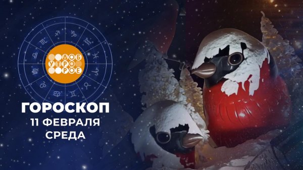 Гороскоп на 11 февраля. Доброе утро. Фрагмент выпуска от 11.02.2026