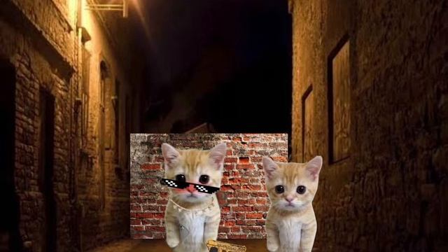 Эль гато 3 серия 1 сезон