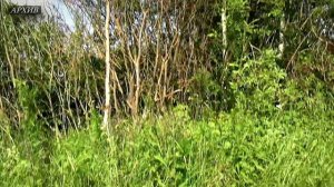 В Тверской области будут пристальнее следить за фермерами-нарушителями