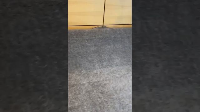 Тёплый, пуховый, красавец плед. Видео отзыв моей покупательницы Любови. смотреть онлайн