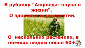 Лекарственные травы для людей  возрастом 60+.