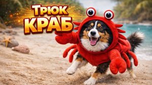 Учим с собакой ТРЮК КРАБ, ПРИСТАВНОЙ ШАГ