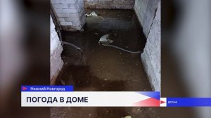 Сырость, плесень и затопленный подвал — таковы реалии жителей дома № 20 по улице Бурденко