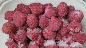 Ягода - малина нас к себе манила...