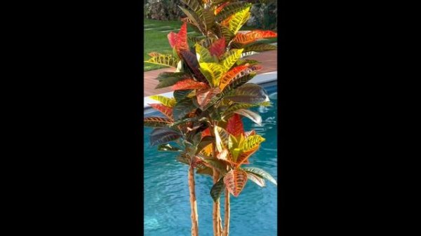 copy_D94134D9-A664-43CF-897B-6EBCEC9834C7