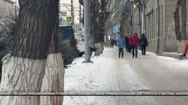 Цены на корм для питомцев в Волгограде поползли вверх смотреть онлайн