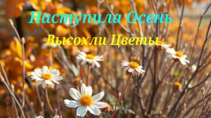 Наступила Осень