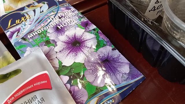 ПЕТУНИИ. МОЙ ВЫБОР. смотреть онлайн