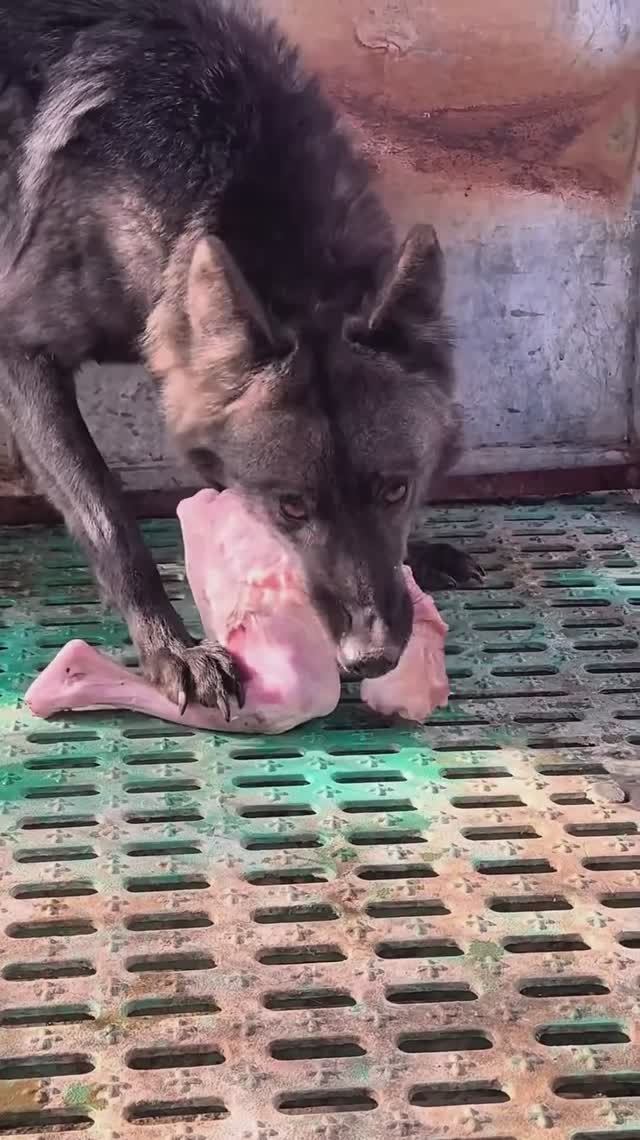 Вкуснятина 😋 смотреть онлайн