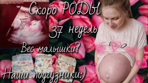 ВЛОГ: Скоро РОДЫ🤰🏼Когда госпитализация?🪻Консультация в РОДДОМЕ 29, г. Москвы.⚘️