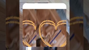 1000048375.mp4 (Собака наблюдает за устройством лестницы на 2 этаж в доме А-фрейм)