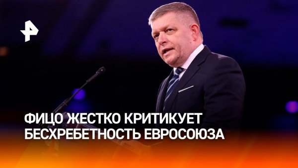 Фицо сравнил ЕС со стадом овец без пастуха