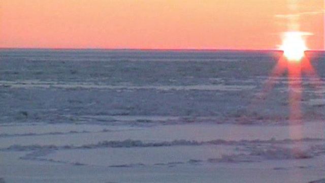 Антарктида -2 смотреть онлайн