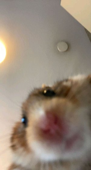 новая песня готова?!