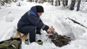 50. Поход в лес. Кора осины. Отдохнул у костра. По следу зверя.