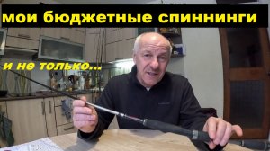 Мои бюджетные и не только спинниги.