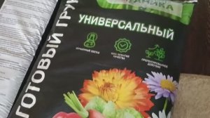 Купила новый грунт для рассады "Мечта ботаника"