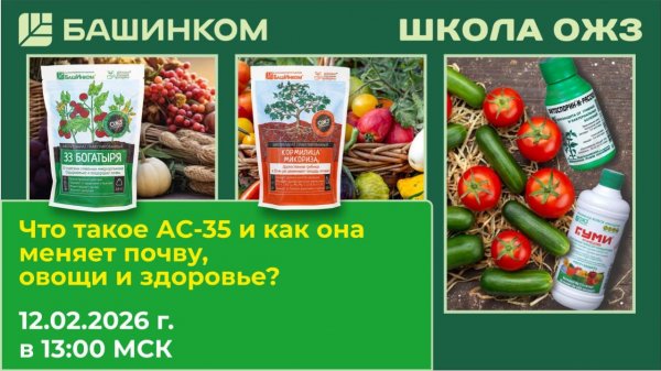 Что такое АС-35 и как она меняет почву, овощи и здоровье?