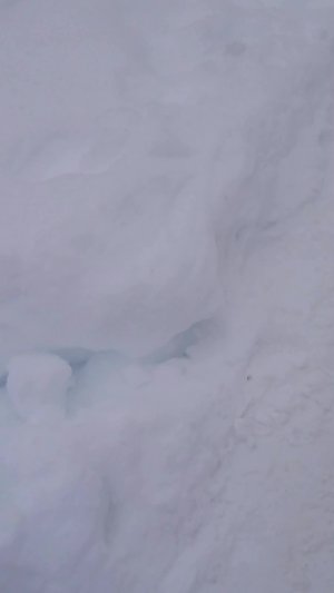 подпишитесь на меня