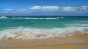 Валерий Гурков  "Не тревожь мне душу, Сине Море" читает Любовь Б. #стихи #поэзия