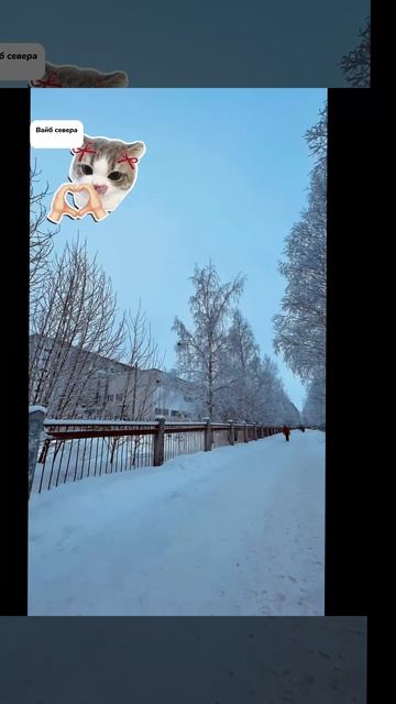 Северный эдит