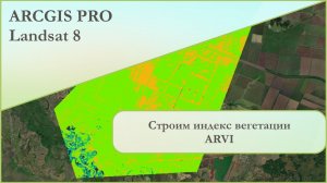 ArcGIS Pro: строим вегетационный индекс ARVI.