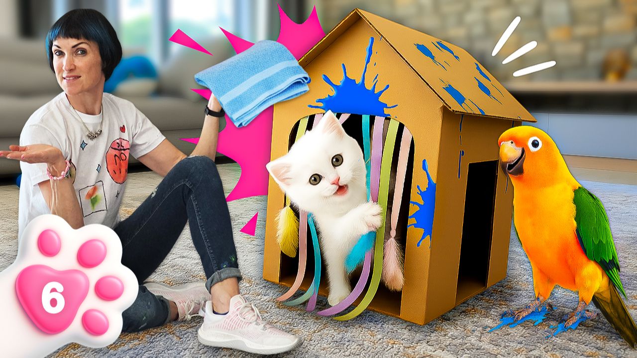 Новый домик для Кефира – котенок и попугай попали в краску! смотреть онлайн