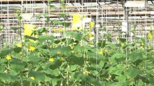 События дня (10.02.2026)