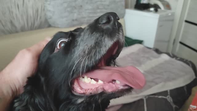 Джексон вернулся домой    2026