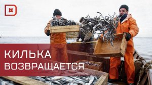 Махачкалинский рыбный порт превращают в современный логистический узел