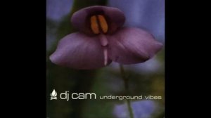 DJ CAM – UNDERGROUND VIBES (1995) _ Full Album Trip Hop Lovers 360p