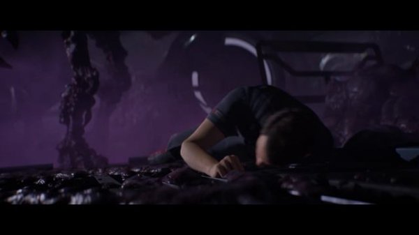 Directive 8020 - Comply Pre-Order Trailer