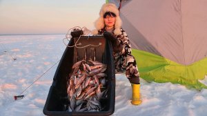 В ПАЛАТКЕ, КАК ДОМА! Рыбалка с ночёвкой на водохранилище. ГЛУХОЗИМЬЕ, А ЛУНКИ РАБОТАЮТ!