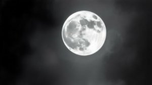 Рок. Shadows - 2912, Eternal Descension.