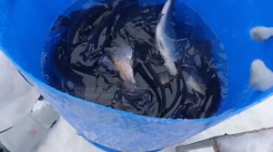 VID_20260211_142239_000