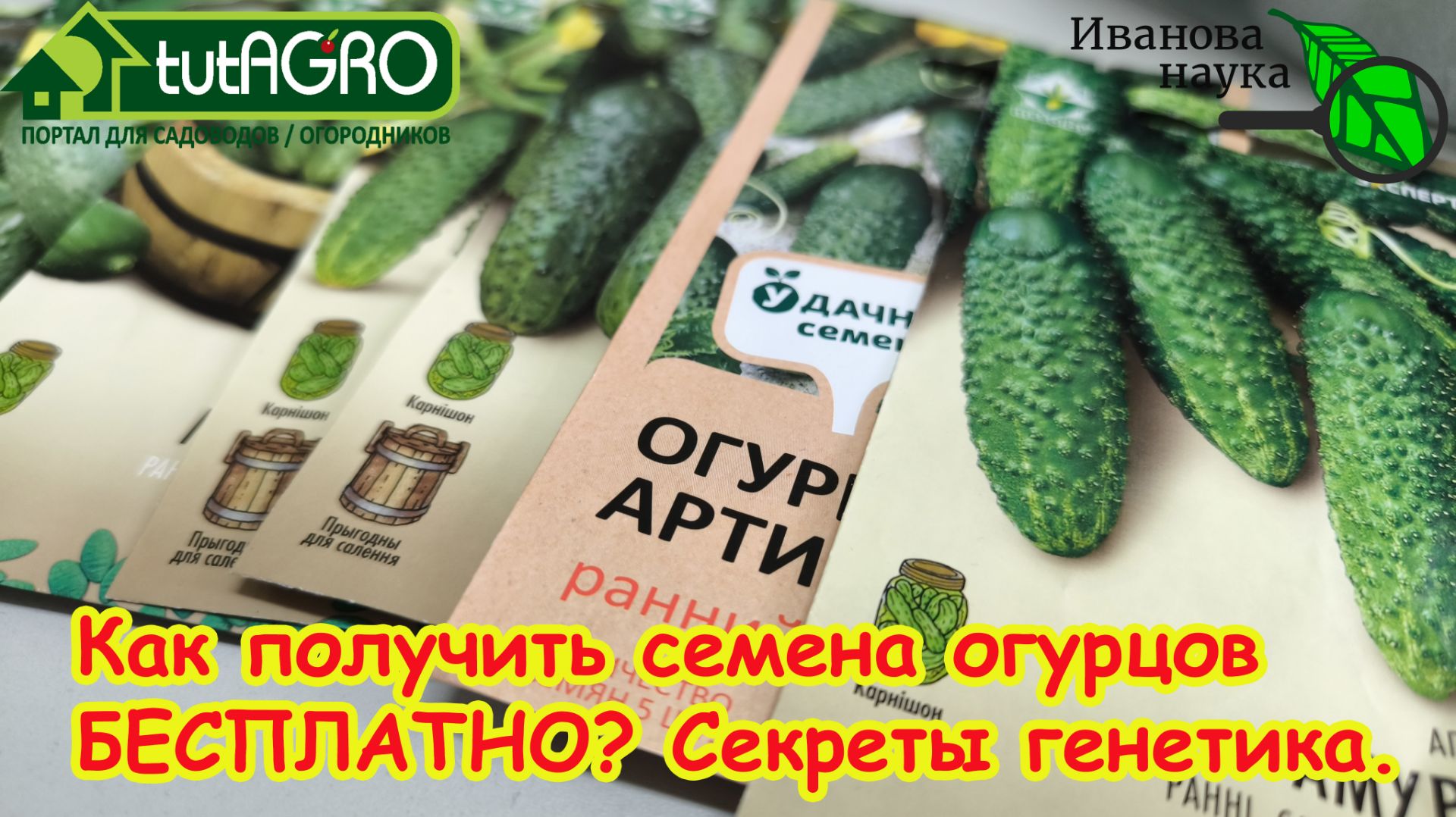 🥒Семена огурцов БЕСПЛАТНО! Куда идти и что просить? Не трать деньги! 🎁Бесплатные семена и урожай смотреть онлайн