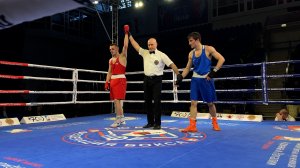 Всероссийские соревнования по боксу в Люберцах