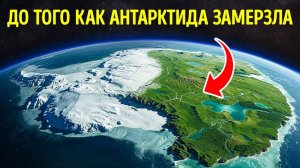 Исследователи нашли затерянный тропический лес, погребенный под Антарктидой