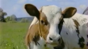 Анонс, рекламные блоки и программа передач (ОРТ, 11.02.1998)