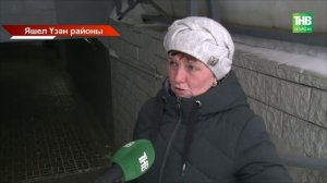 Яшел Үзән районының Васильево бистәсендә пенсионерны этләр талаган