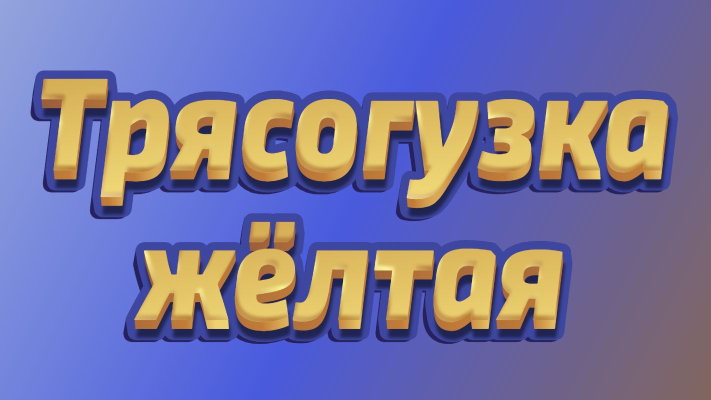 Трясогузка жёлтая Yellow wagtail смотреть онлайн