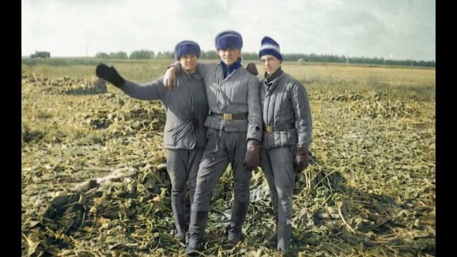 Оживление фотографии №145