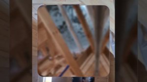 1000048374.mp4 (Собака наблюдает за устройством лестницы на 2 этаж в доме А-фрейм)