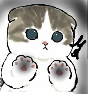 Книга ответы на вопросы