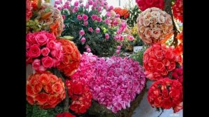 ЛУННАЯ СОНАТА Людвиг Бетховен фото Татьяна Талызина