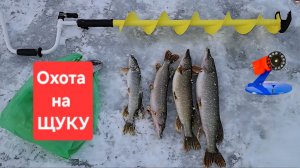 ЩУКИ- против титановых и вольфрамовых ПОВОДКОВ!! Жерлицы на секретном пруду! Рыбалка - Михалыча !