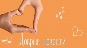 Добрые новости от БФ "Добро 24.РУ" 11.02.2026г