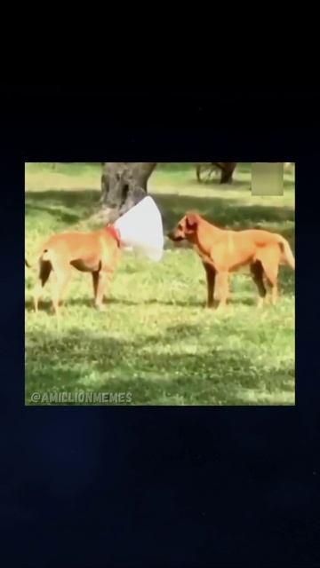 Везде реклама смотреть онлайн