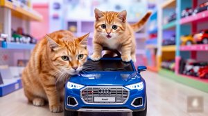 😹Мама кошечка купила красивую машину своему маленькому котёночку🔥