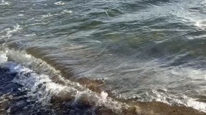 #ах это море приятно вспомнить